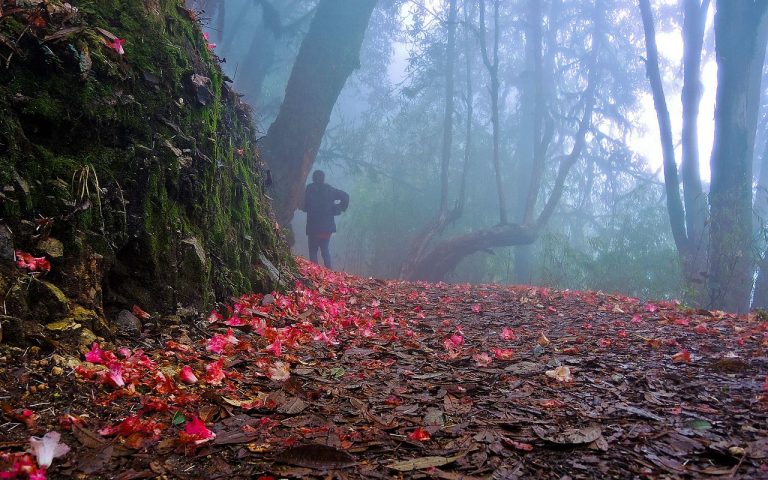 Okhrey Hilley Barsey Trek