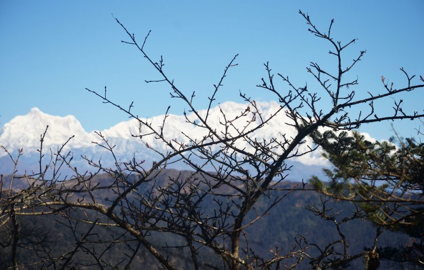 Sandakphu Phalut Trek