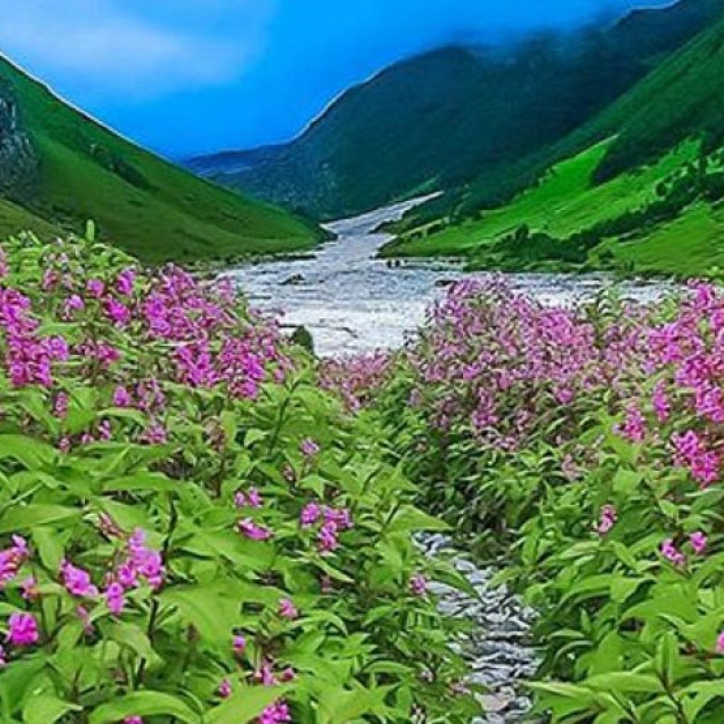 valley-of-flower-trek-guide-uttarakhand desinomadz