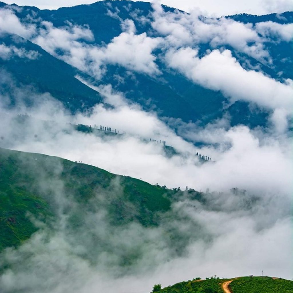 Darjeeling-tranquility-desinomadz