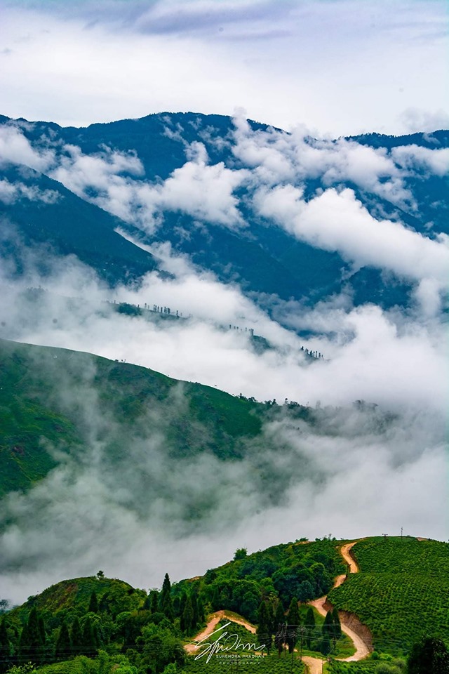 Darjeeling-tranquility-desinomadz