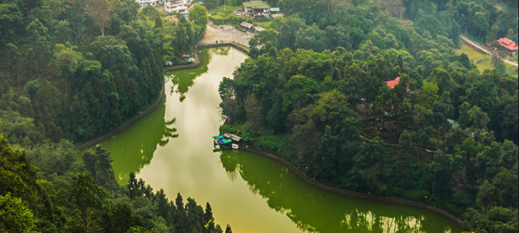 Forests of Aritar desi nomadz