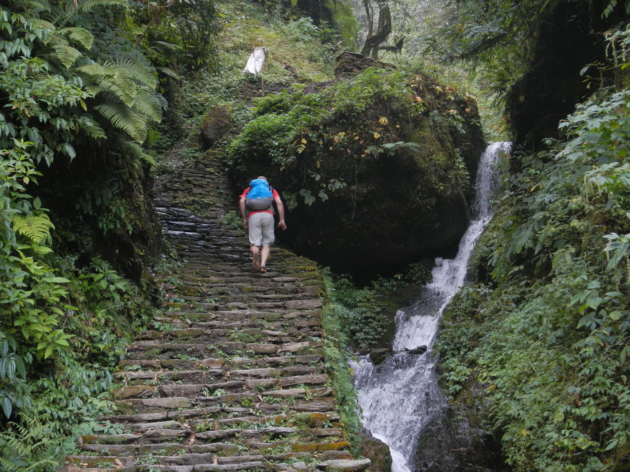 <span> Day 2 </span>Trek from Ghandruk to Chhomrong | 6-7 Hours