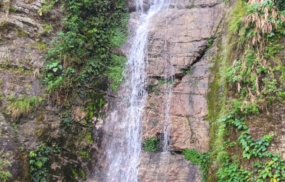 Mairung Gaon Homestay