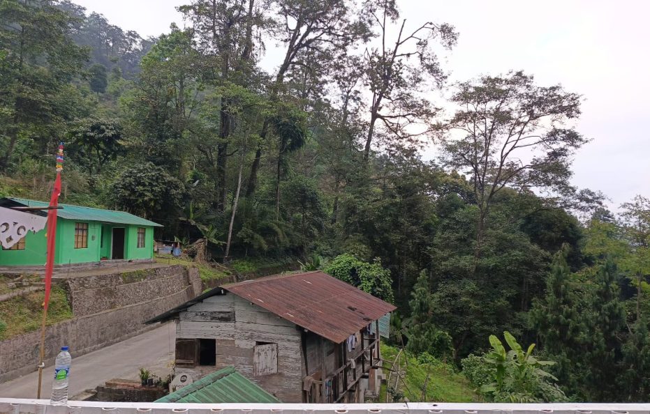 Mairung Gaon Homestay