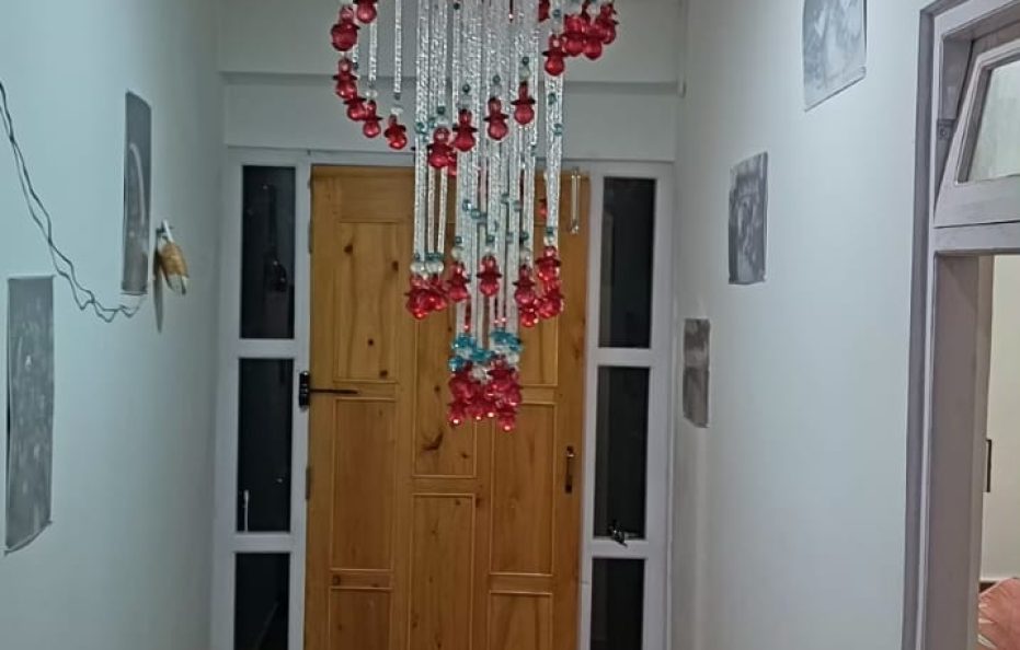 Mairung Gaon Homestay