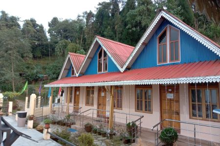 Pine Tree Homestay