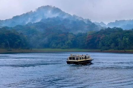 Thekkady desinomadz