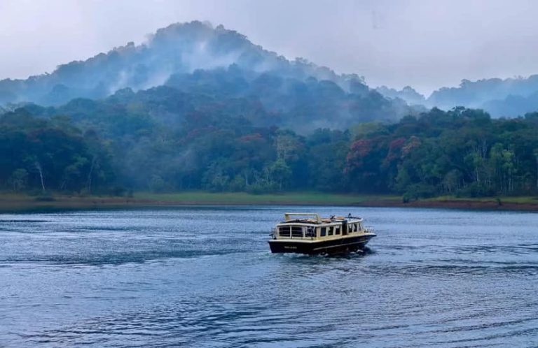 Thekkady desinomadz