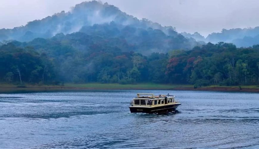 Thekkady desinomadz