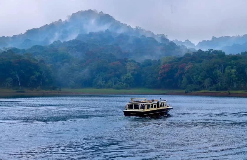 Thekkady desinomadz