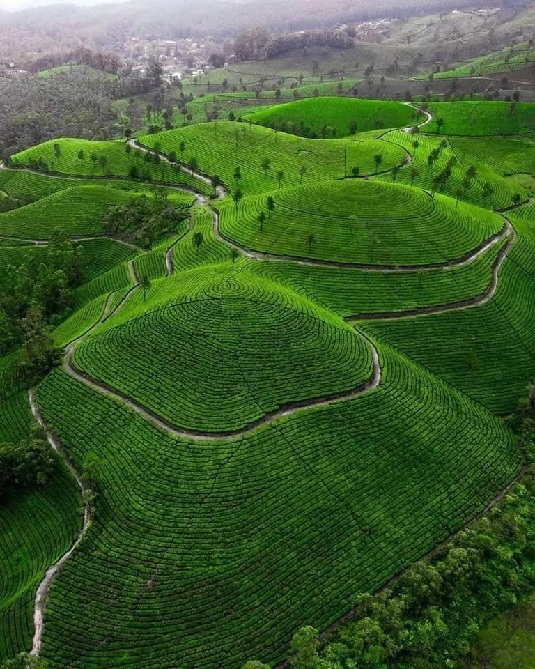 Munnar Desi Nomadz